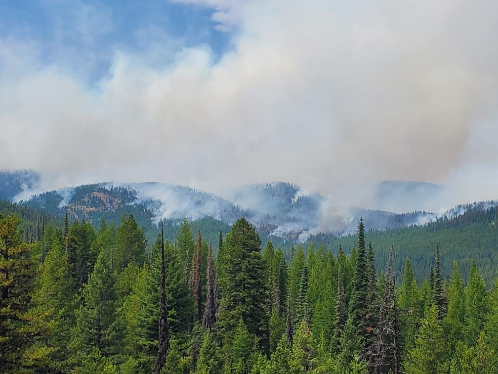 Colt Fire on July 24 looking north from southeast part of the fire Credit: Inciweb