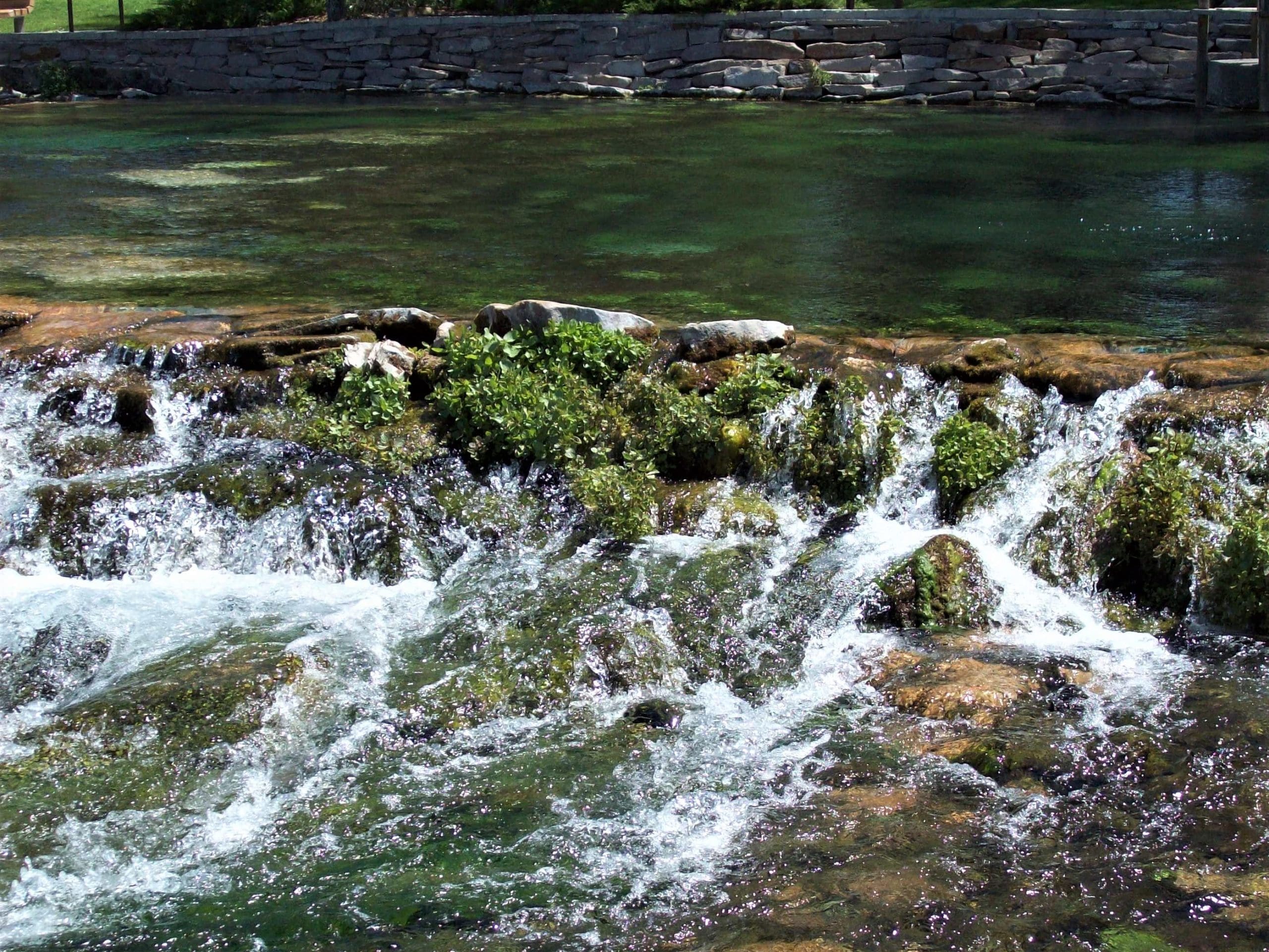 Giant Springs State Park 6-23-2009 Credit: Foxy's Photography