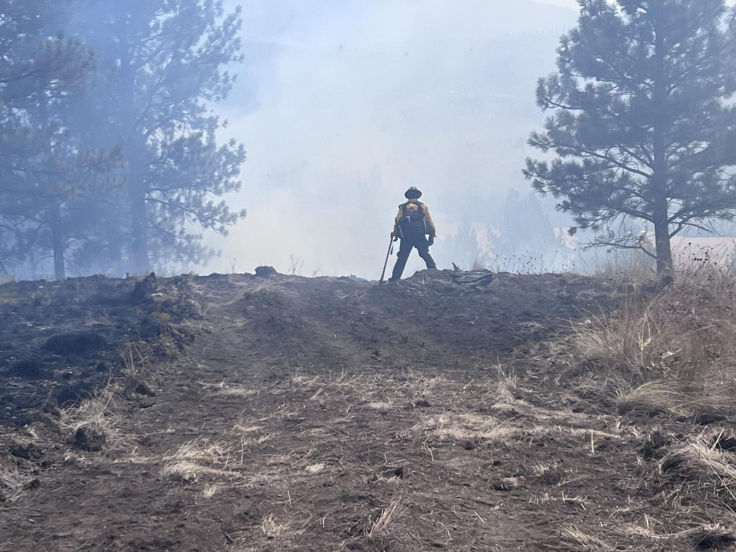 Niarada Fire - FF on Dozer Line August 7, 2023 - Credit: Inciweb