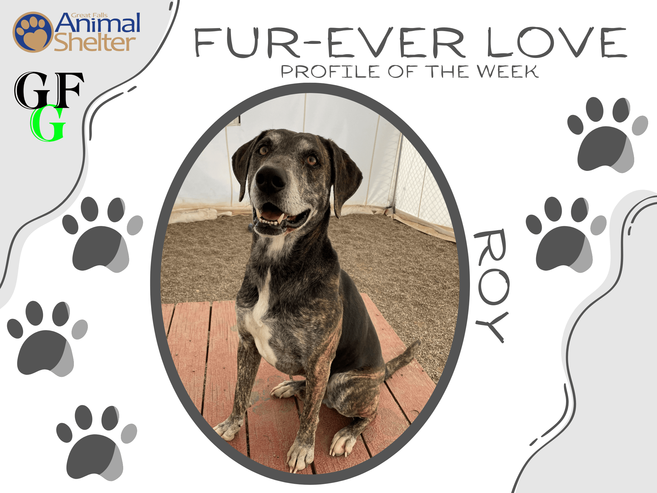 Fur-Ever Love - Roy