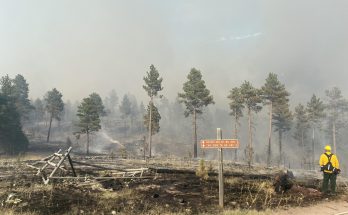 Horse Gulch Fire July 9 afternoon photo credit inciweb.gov