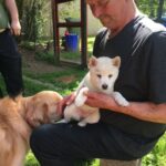 Obituary of Bryan Hovey Sr.