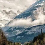 Obituary of Edgar L Maessner