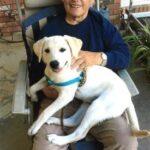 Obituary of David J. Matsko