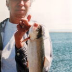 Obituary of Sandra Trapp