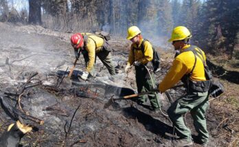 Photo credit inciweb.wildfire.gov