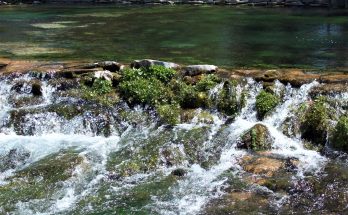 Giant Springs State Park Photo credit Karen Anderson