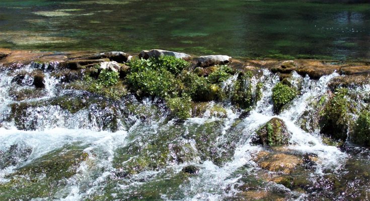 Giant Springs State Park Photo credit Karen Anderson